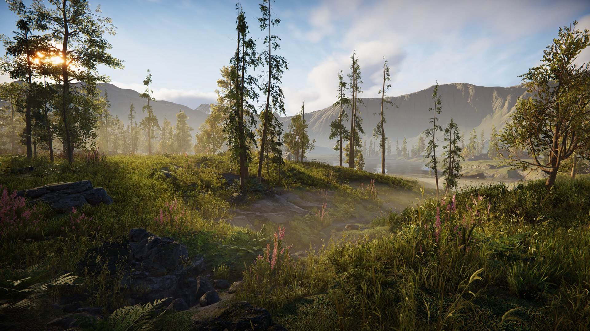 Target quality: believable light, terrain, plants, and materials